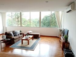 Nassim Regency (D10), Condominium #553855791